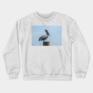 Grand Pelican Crewneck Sweatshirt